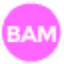Icon for brooklynactivemama.com