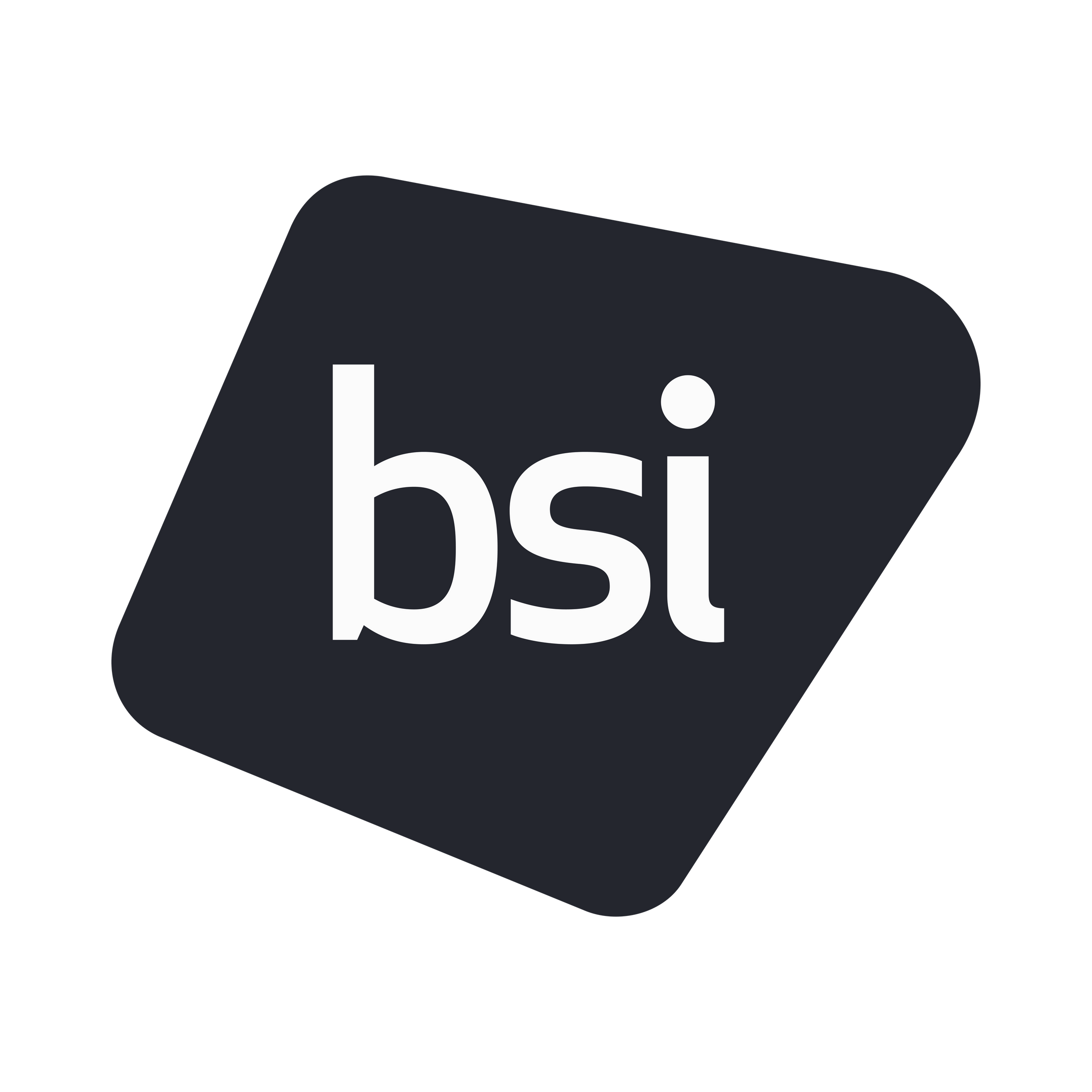 Icon for bsi.learncentral.com