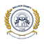 Icon for bullochcounty.net
