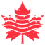 Icon for canadaabroad.com