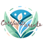 Icon for carefulparents.com