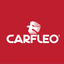 Icon for carfleo.com