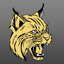 Icon for cassville.k12.mo.us
