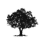 Icon for cavieandco.com