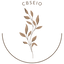Icon for cbseio.com