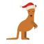 Icon for christmasinaustralia.com.au