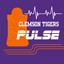 Icon for clemsonfootballpulse.com