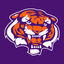 Icon for clemsonsportstalk.com