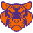 Icon for clemsonwire.usatoday.com