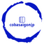 Icon for cobasaigonjp.com