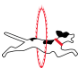 Icon for completecrewing.com