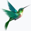 Icon for condolencemessages.com