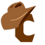 Icon for cowboylifestylenetwork.com