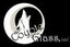 Icon for coyoteglassllc.com