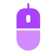 Icon for cpstest.pro