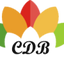 Icon for creativedesignblog.com
