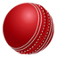 Icon for cricfiles.com