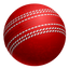 Icon for crichunter.com