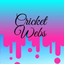 Icon for cricketwebs.com