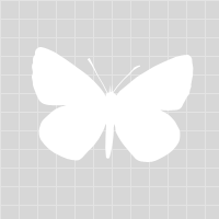 Icon for cutnmakecrafts.com