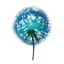 Icon for dandelionfamilycounseling.com