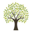 Icon for drterrydelisa.com
