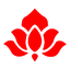 Icon for drugrehabus.org