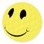 Icon for embassygolf.com