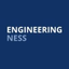 Icon for engineeringness.com