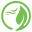 Icon for eoleaf.com
