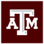 Icon for epsy.tamu.edu