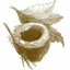 Icon for ericasemptynest.com