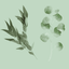 Icon for everlastingoccasion.com