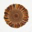 Icon for evolutionofculturaldiversity.anu.edu.au