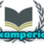 Icon for examperiod.com