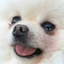 Icon for exceljump.com