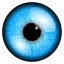 Icon for eyesurgeryguide.org
