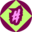 Icon for fancytexts.org
