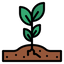 Icon for farmsunseed.com