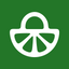 Icon for feedbackfruits.com