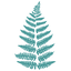 Icon for fernandmaple.com