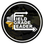 Icon for fieldgradeleader.themilitaryleader.com