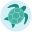 Icon for findingseaturtles.com