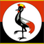 Icon for flashugnews.com