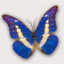 Icon for focusingonwildlife.com