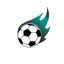 Icon for footrecap.com