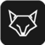 Icon for foxsinsights.com