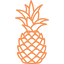 Icon for funkypedagogy.com