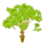 Icon for giscrack.com