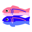 Icon for glitch.com